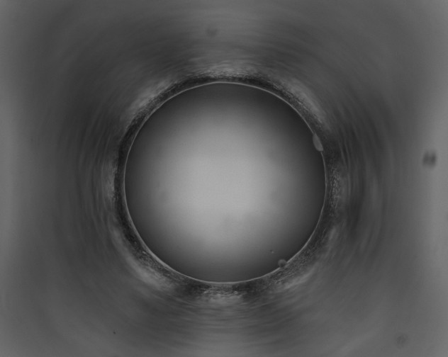 X0000090420491200707131212