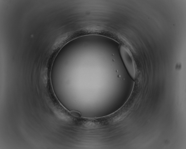 X0000090420494200707131212