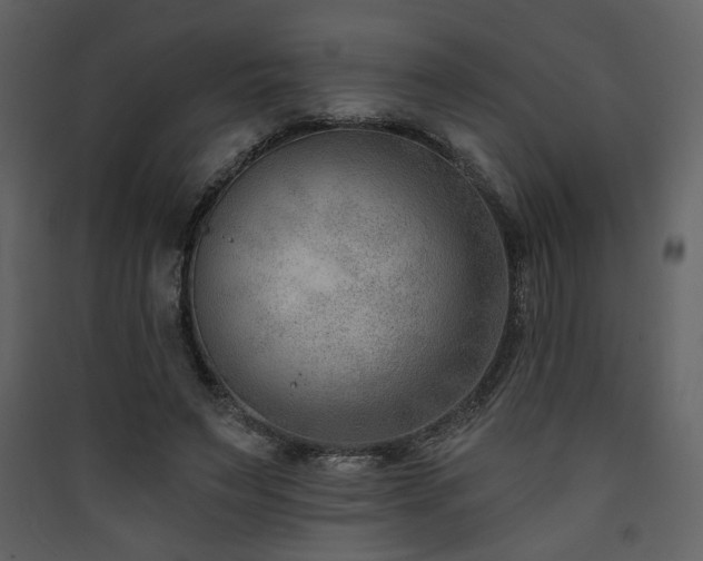 X0000090420495200707131212