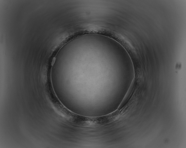 X0000090420496200707131212