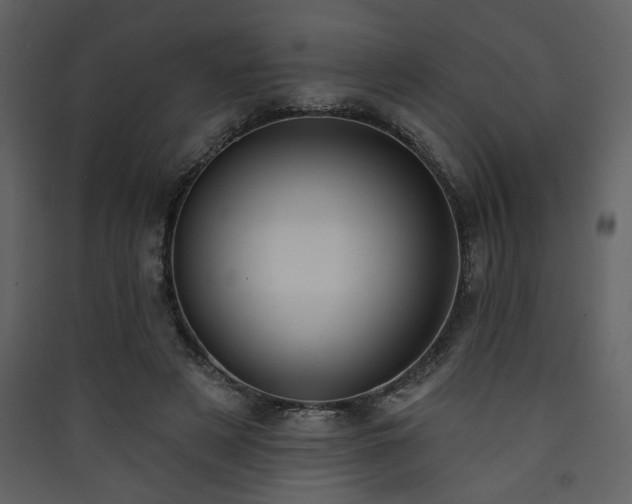 X0000090420497200707131212