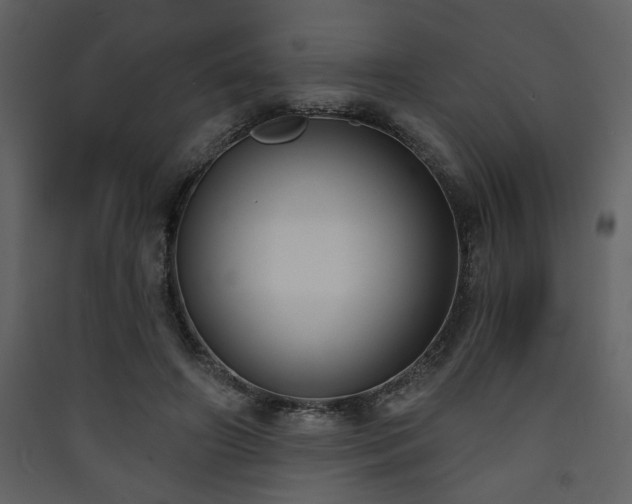 X0000090420498200707131212