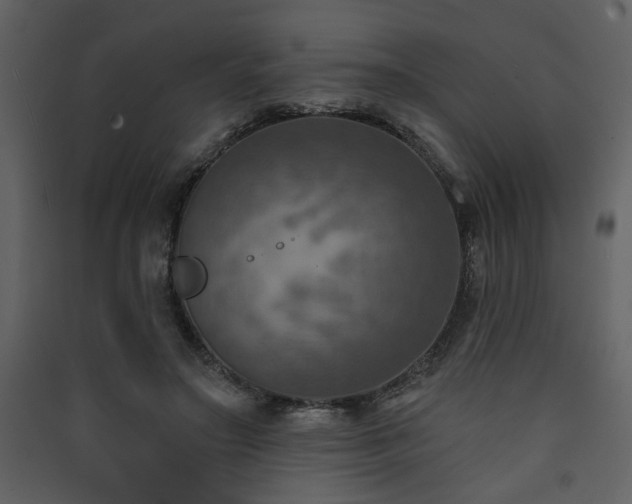 X0000090420499200707131212