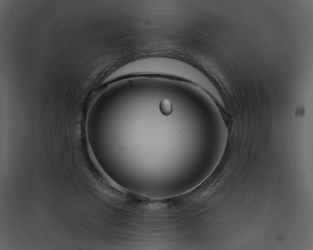 X0000090420501200707131212
