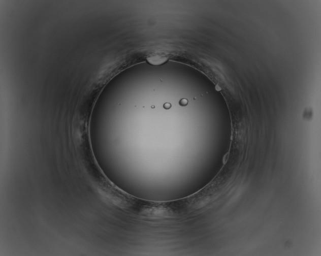 X0000090420503200707131212