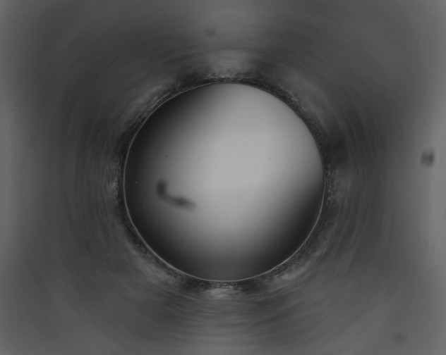 X0000090420505200707131211