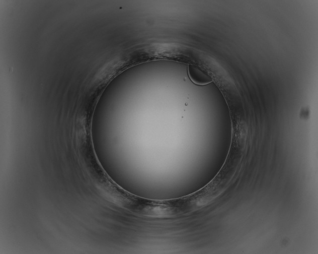 X0000090420506200707131211