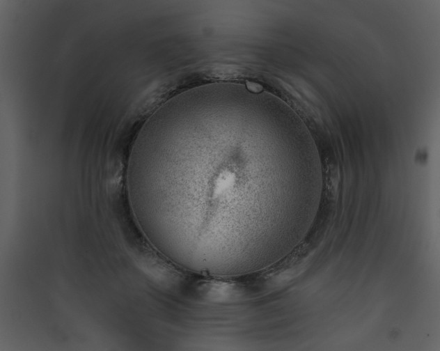 X0000090420507200707131211