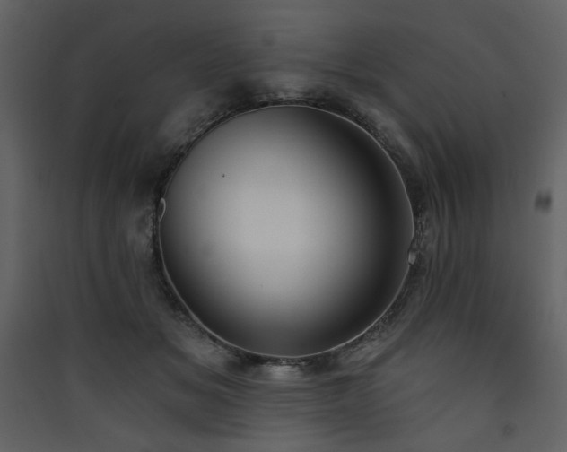 X0000090420509200707131211