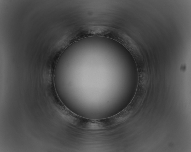 X0000090420510200707131211