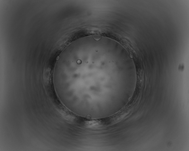 X0000090420511200707131211