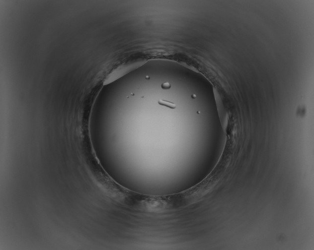 X0000090420512200707131211