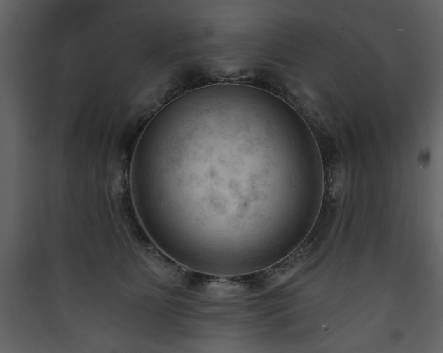 X0000090420515200707131211