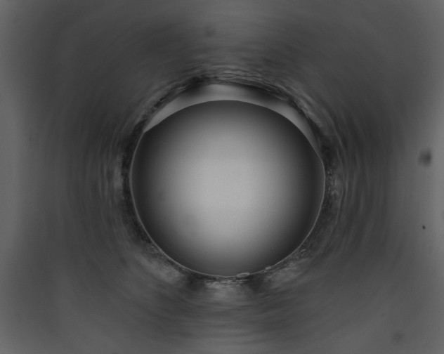 X0000090420516200707131211