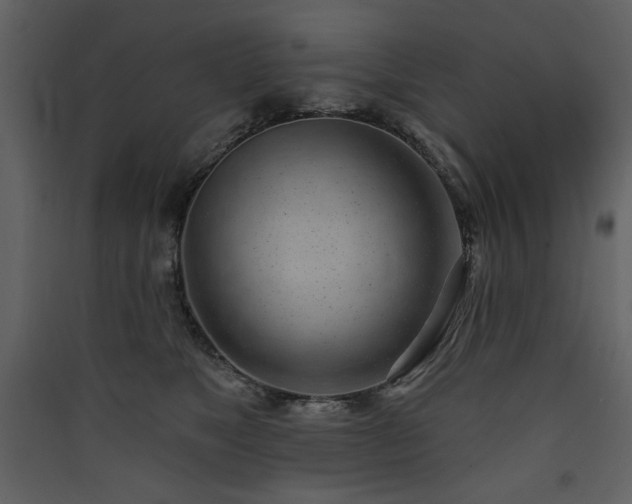 X0000090420517200707131211