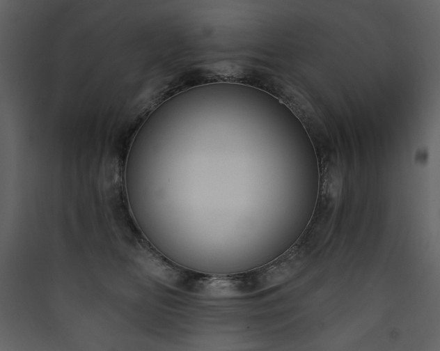 X0000090420518200707131211