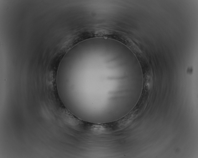 X0000090420519200707131211