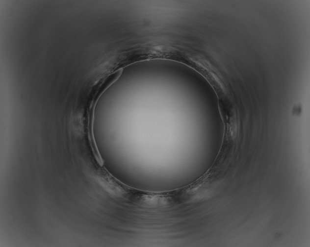 X0000090420520200707131211