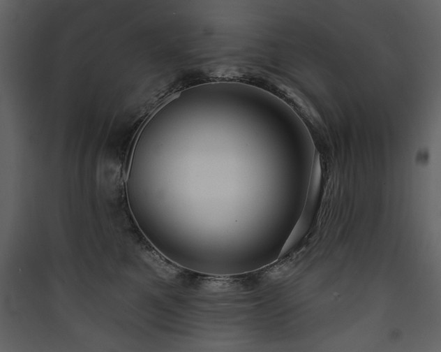 X0000090420521200707131211