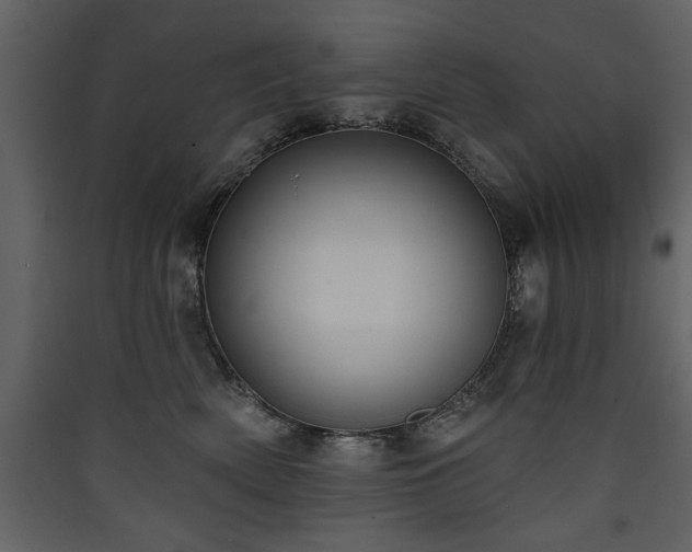 X0000090420522200707131211