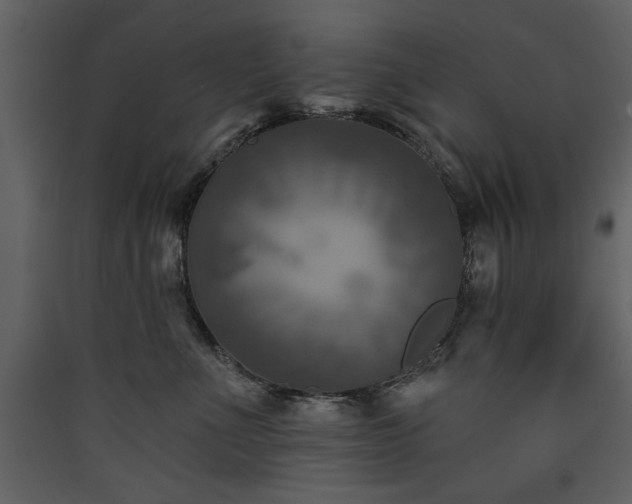 X0000090420523200707131211