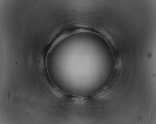 X0000090420524200707131211