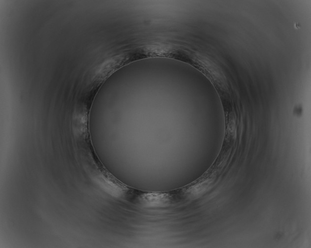 X0000090420526200707131211