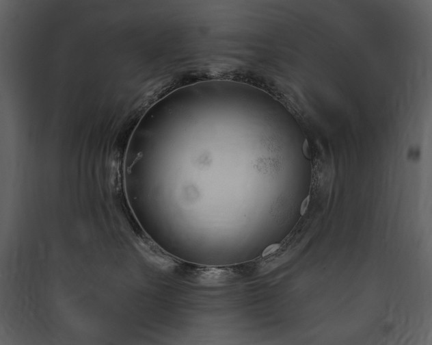 X0000090420527200707131211