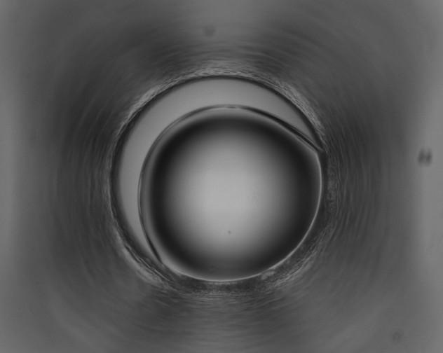 X0000090420530200707131210
