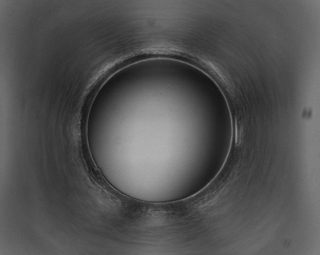 X0000090420531200707131210