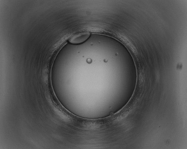 X0000090420533200707131210