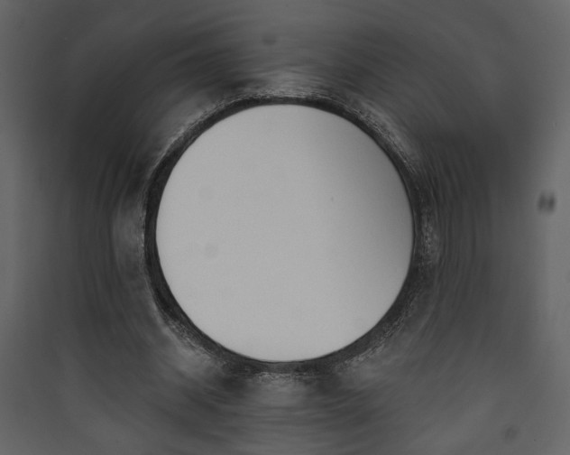 X0000090420534200707131210