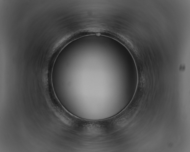 X0000090420535200707131210