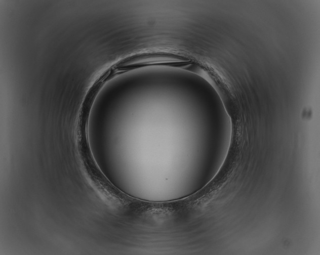 X0000090420536200707131211