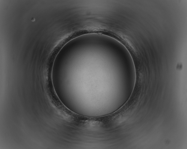 X0000090420539200707131211