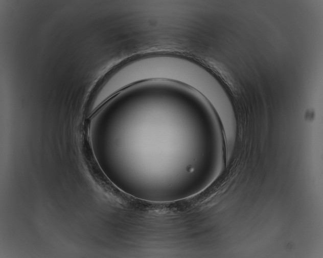 X0000090420540200707131211