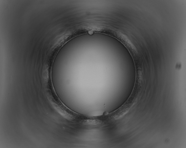 X0000090420541200707131211
