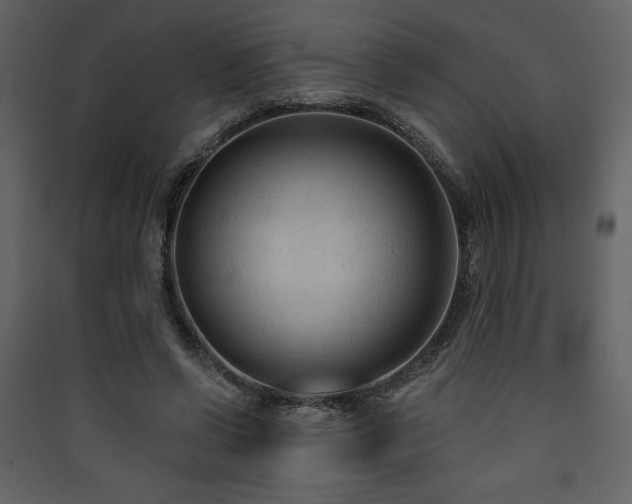 X0000090420542200707131211