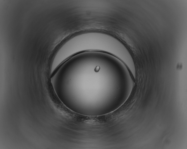 X0000090420544200707131211