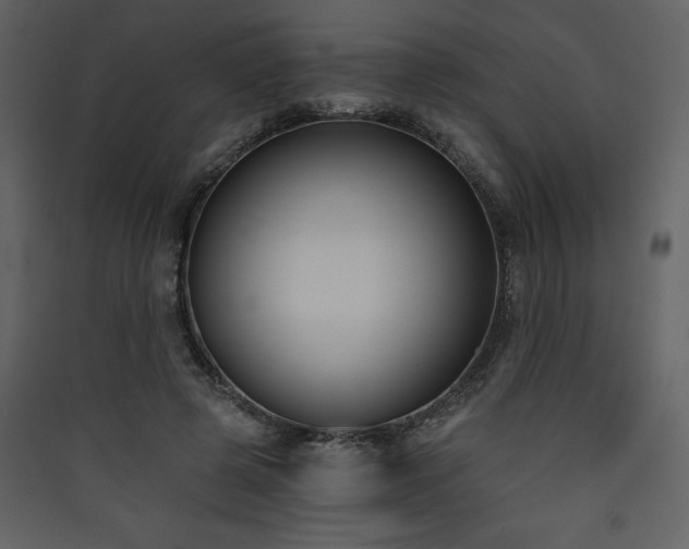 X0000090420545200707131211