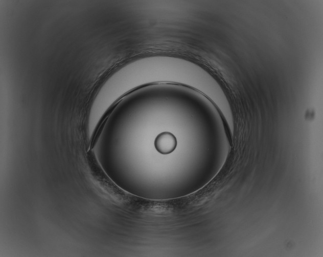 X0000090420546200707131211