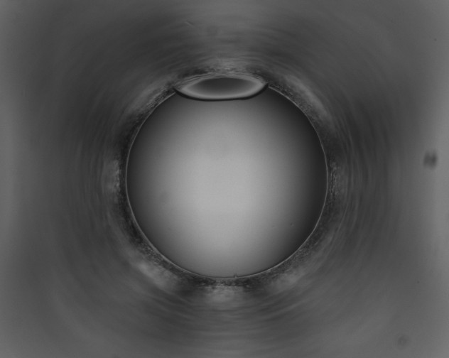 X0000090420549200707131211