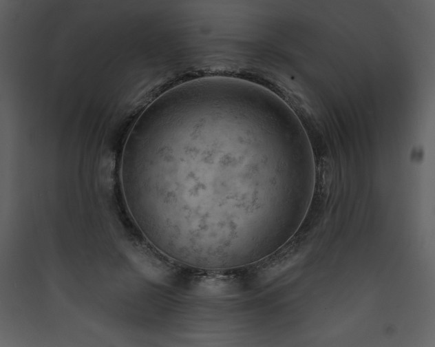 X0000090420550200707131211