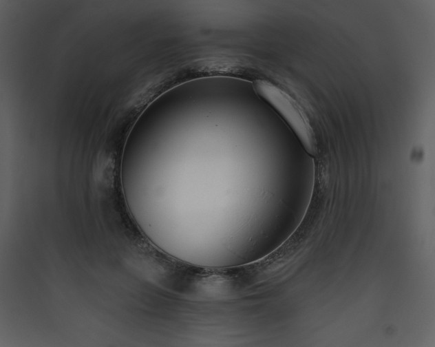 X0000090420551200707131211