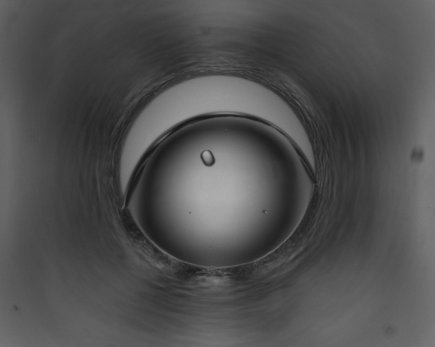 X0000090420552200707131211