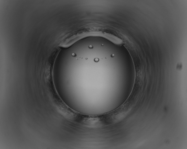 X0000090420554200707131211
