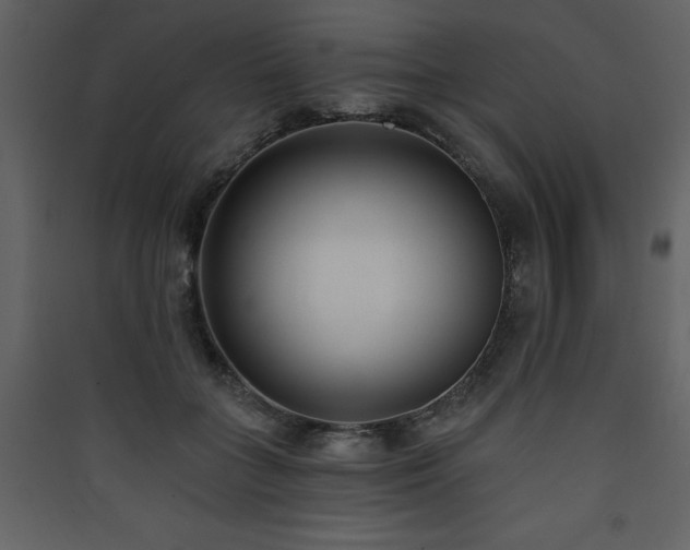 X0000090420555200707131211