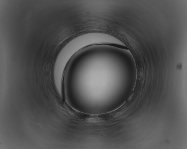 X0000090420556200707131211