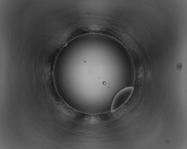 X0000090420559200707131211