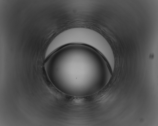 X0000090420560200707131211